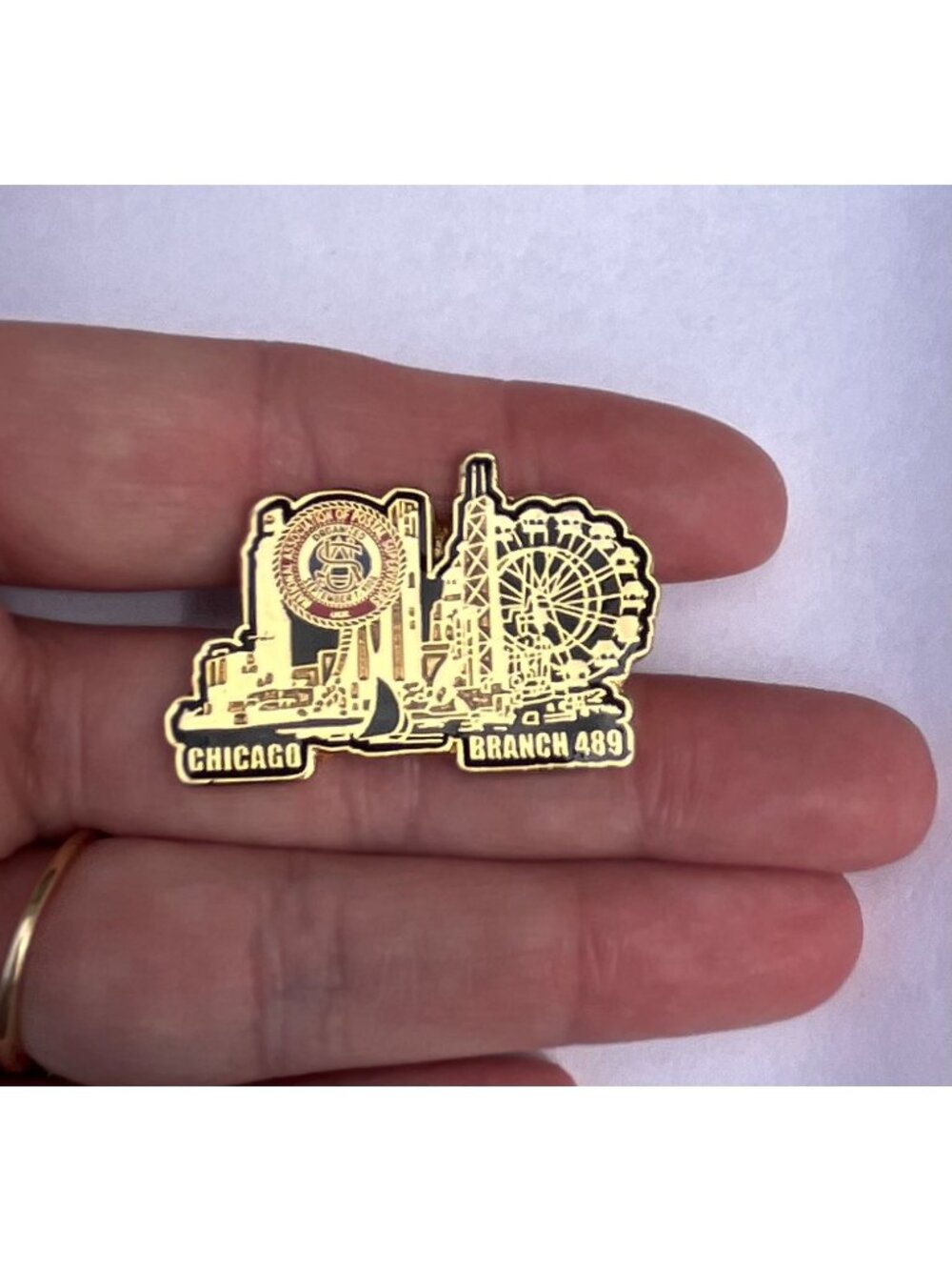 Vintage Chicago Branch 489 NAPS Skyline Enamel Lapel Pin Ferris Wheel Postal Sup